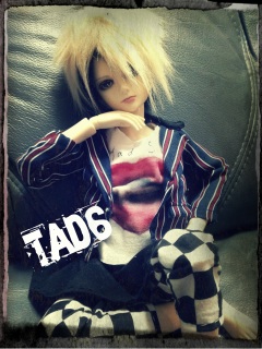 ����������